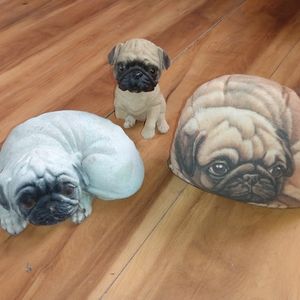 Pug collection